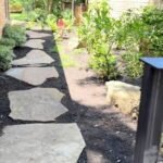 Lawn Maintenance Grapevine: Keeping Your Yard Healthy All Year Long