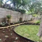 Xeriscape Austin Texas