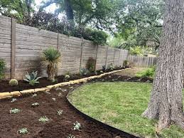 Xeriscape Austin Texas