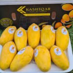 Best Pakistani Mangoes Online