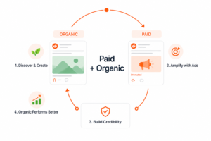 Reddit organic growth service