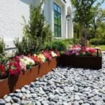 Landscape Installation Austin