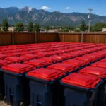 Trash bin cleaning service