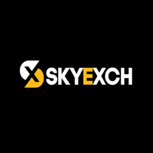 Skyinplay logo