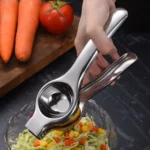 Stainless steel juicer