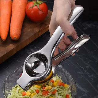 Stainless steel juicer