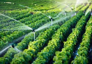 Trusted Fuel Solutions for UK Agriculture