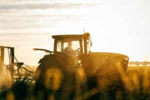 UK Farming: Building a Sustainable Agricultural Future