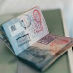 Work visa nz